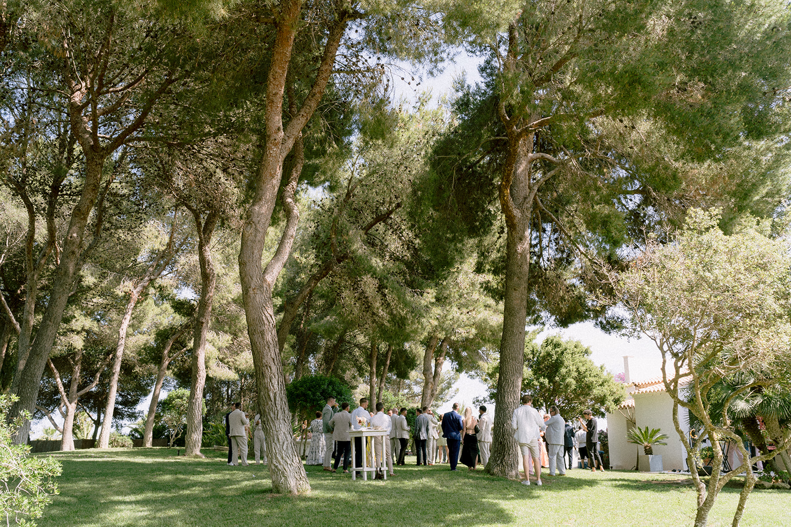 David Griso | Fotógrafo de bodas