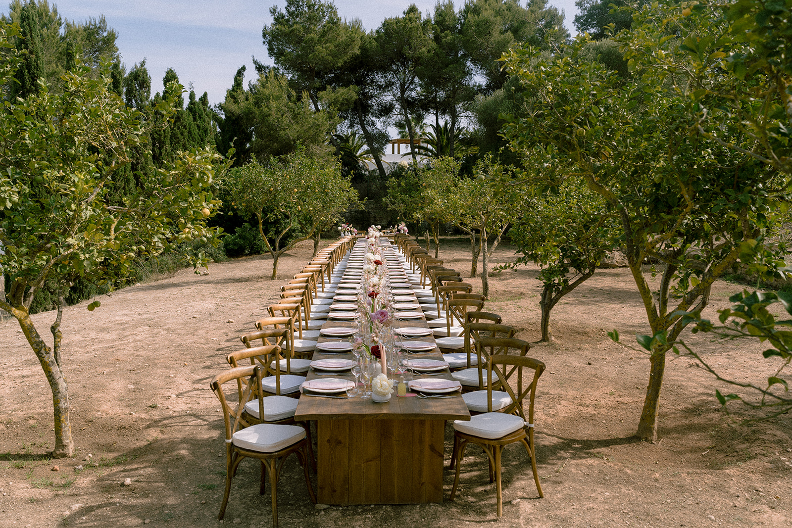 David Griso | Fotógrafo de bodas