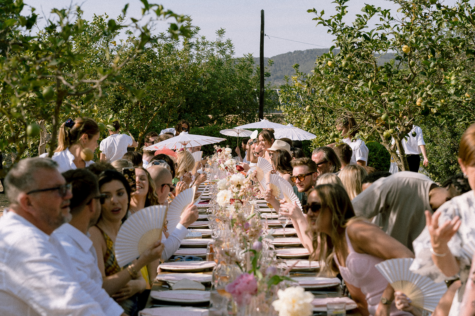 David Griso | Fotógrafo de bodas