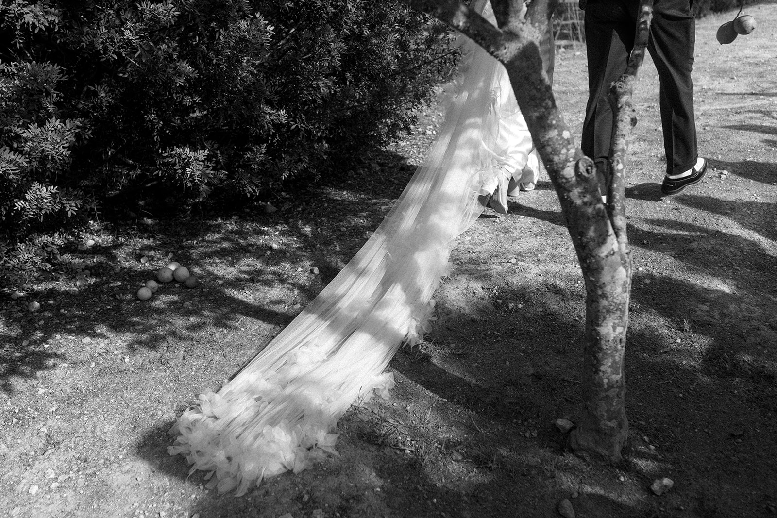 David Griso | Fotógrafo de bodas